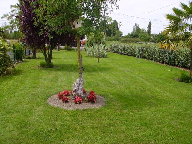 Marais Poitevin Gite "Volets Bleu Clair": Rustic Retreat with Fishing, Boating, and Cycling La Taillee Exterior photo